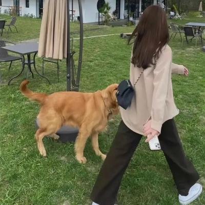 芳心处处开